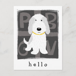 Grey & White PBGV Postcard
