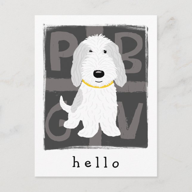 Grey & White PBGV Postcard (Front)