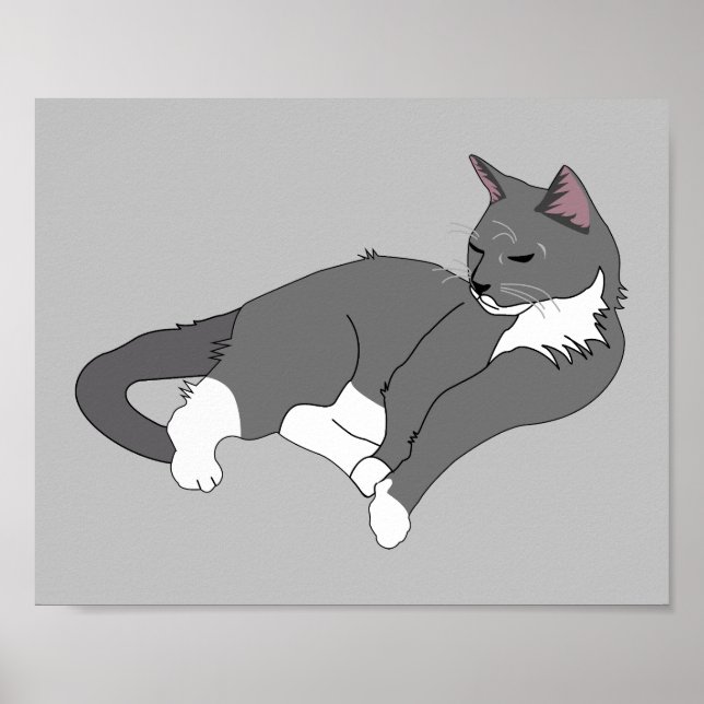 Grey & White Tuxedo Cat  Poster (Front)