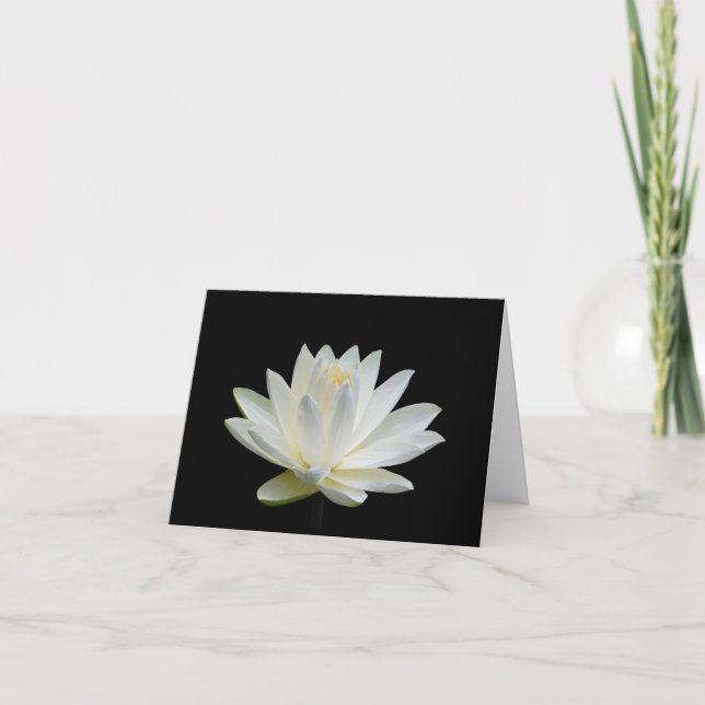 Grey White  Water Lily Blank Note Greeting Cards (Front)