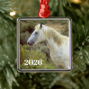 Grey Wild Horse, Rock Springs, Wyoming Metal Ornament