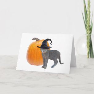 Grey Witch Cat with Pumpkin Halloween Card