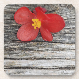 Grey With Red Flower Beverage Coaster