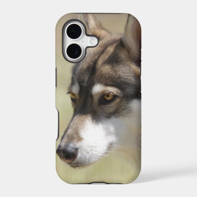 Grey Wolf (Back)