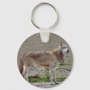 grey-wolf-12 key ring