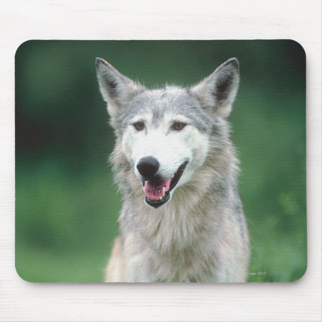 Grey wolf 2 mouse pad (Front)