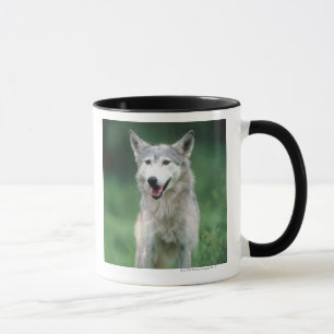 Grey wolf 2 mug