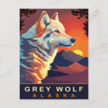 Grey Wolf, Alaska, Sunset on the Mountains, Travel