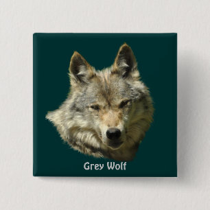 Grey Wolf Alpha Female Wildlife-lover 15 Cm Square Badge
