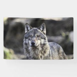 Grey Wolf Banner