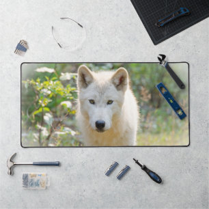 Grey Wolf, Beautiful Canine Photography Desk Mat