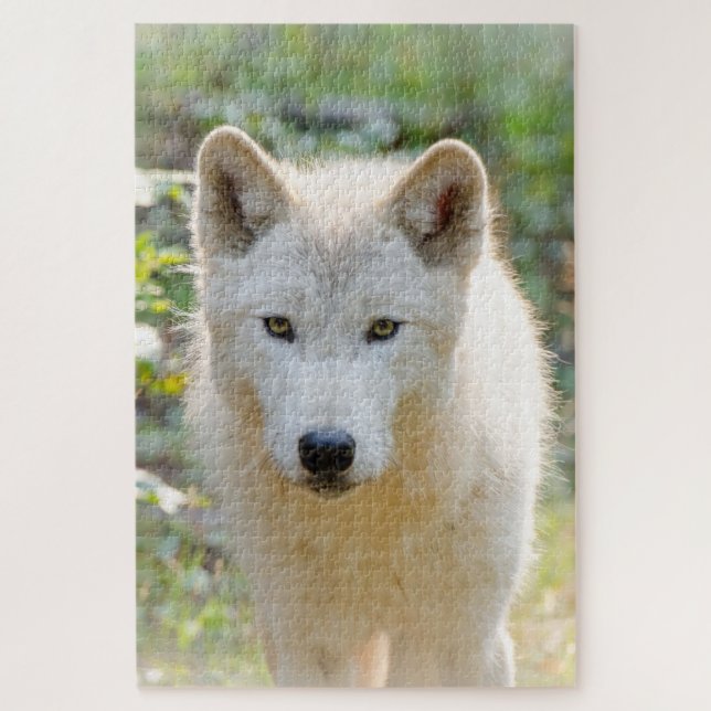 Grey Wolf, Beautiful Canine Photography  Jigsaw Puzzle (Vertical)