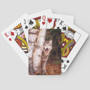 Grey Wolf Behind a Tree Playing Cards