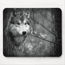 Grey Wolf - Black and White