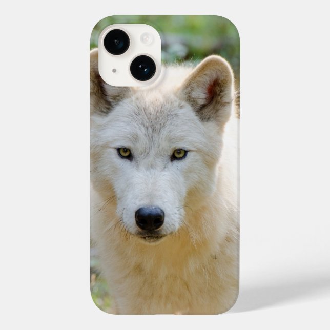 Grey Wolf, Canadian Wildlife Photography Case-Mate iPhone Case (Back)