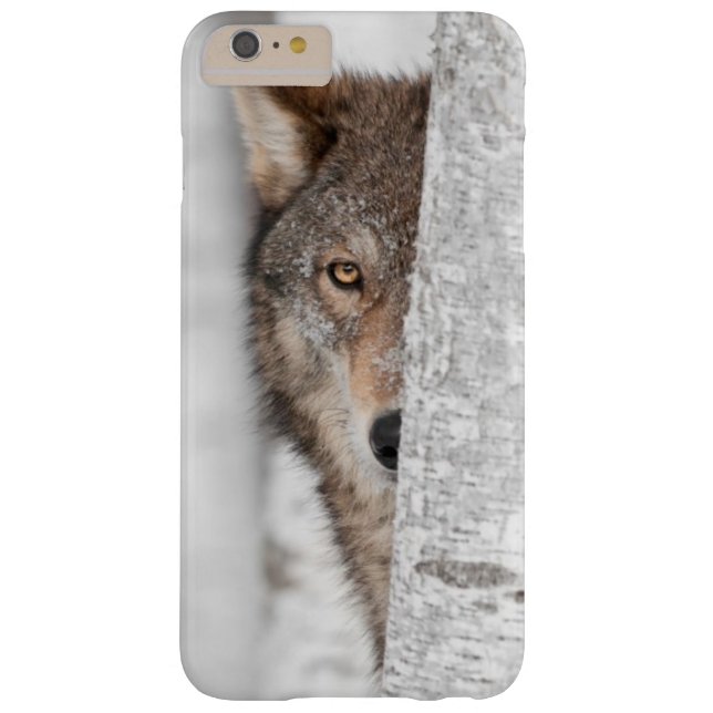 Grey Wolf (Canis lupus) Behind Tree Case-Mate iPhone Case (Back)