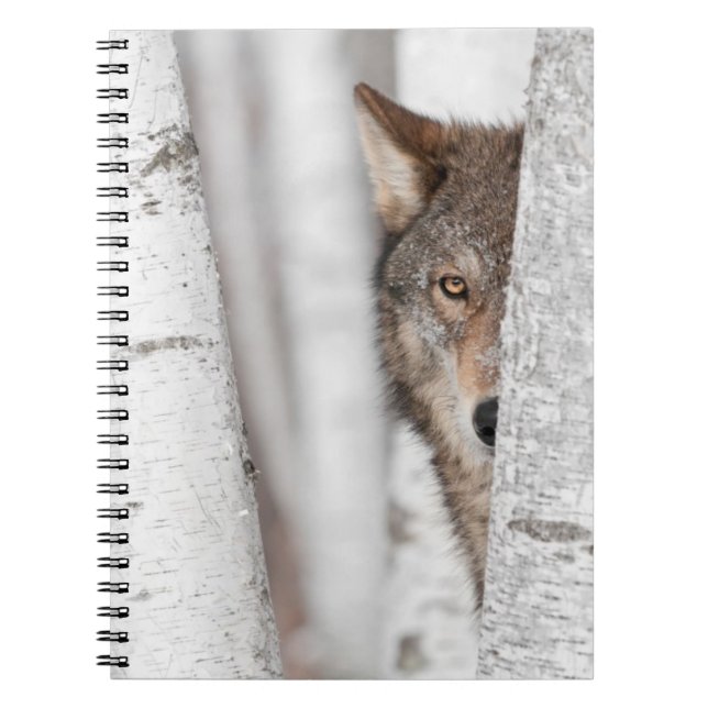 Grey Wolf (Canis lupus) Behind Tree Notebook (Front)