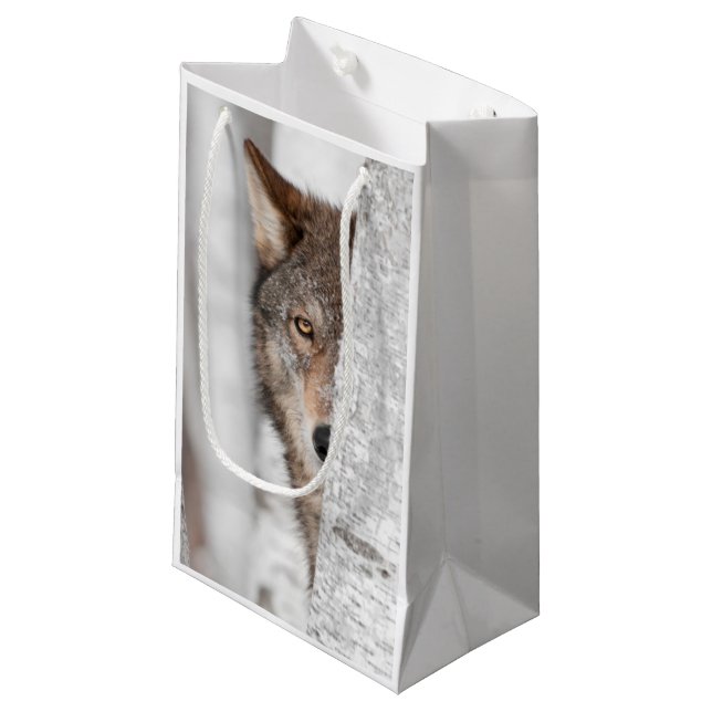 Grey Wolf (Canis lupus) Behind Tree Small Gift Bag (Front Angled)