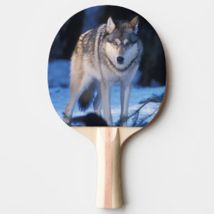grey wolf, Canis lupus, in the foothills Ping Pong Paddle