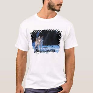 grey wolf, Canis lupus, in the foothills T-Shirt