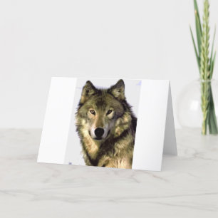 Grey Wolf Card