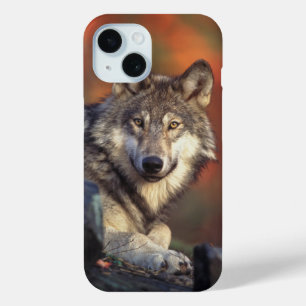 Grey Wolf iPhone 15 Case