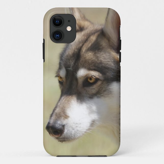 Grey Wolf Case-Mate iPhone Case (Back)