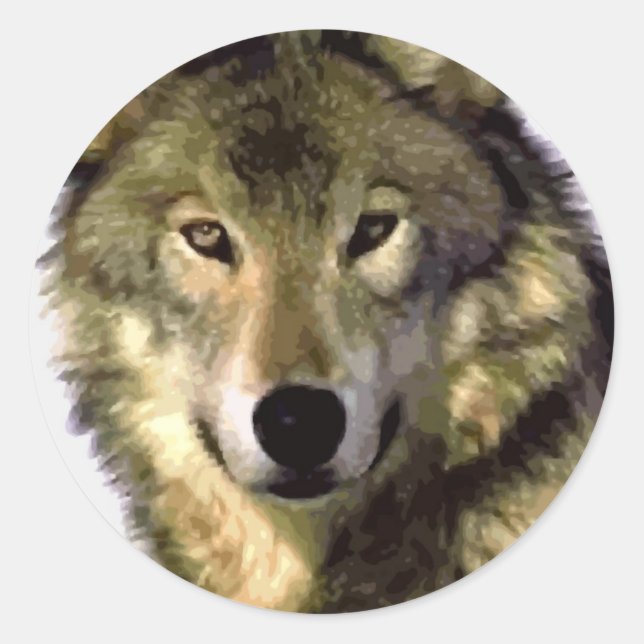 Grey Wolf Classic Round Sticker (Front)
