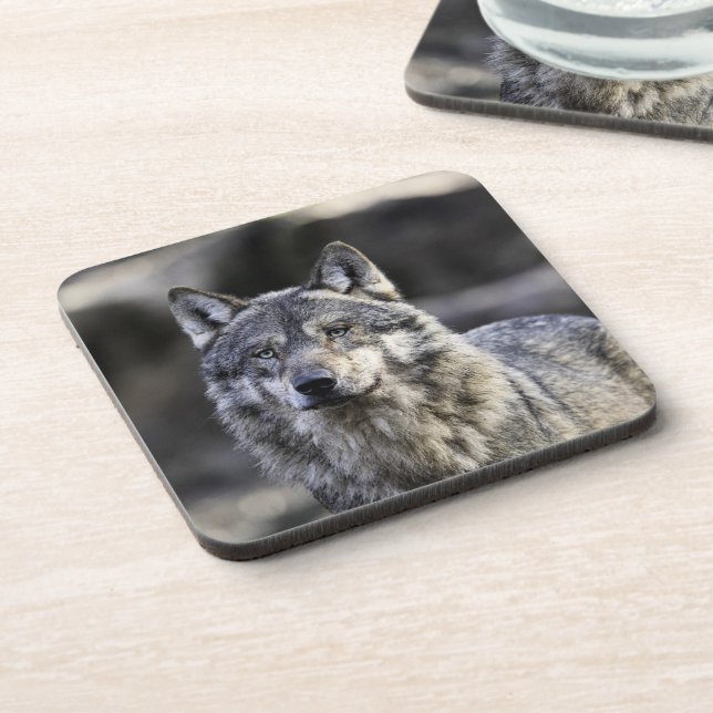 Grey Wolf Coaster (Left Side)