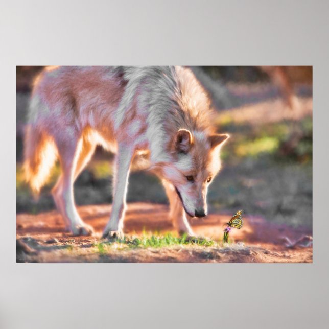 GREY WOLF COLORFUL ENCOUNTER POSTER (Front)