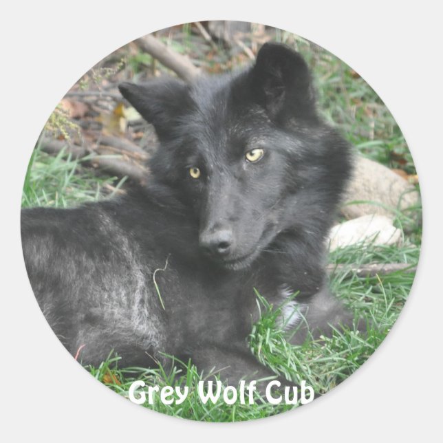 GREY WOLF CUB Wildlife Supporter Stickers (Front)