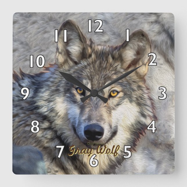 Grey Wolf Dignity Square Wall Clock (Front)