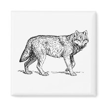 Grey Wolf Elegant Ink Drawing