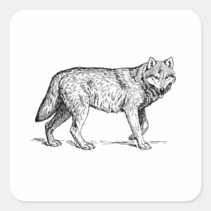 Grey Wolf Elegant Ink Drawing Square Sticker