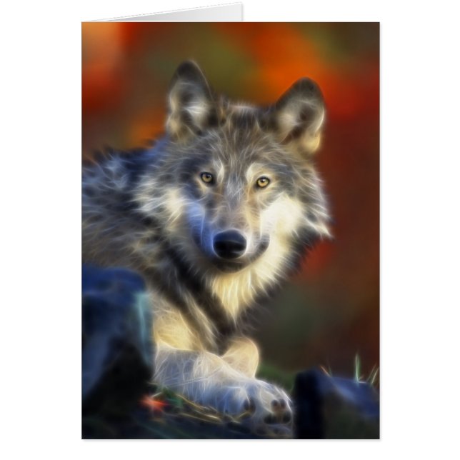 Grey Wolf, Endangered Species Digital Photography (Front)