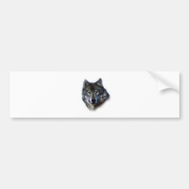 Grey Wolf Eyes Bumper Sticker (Front)