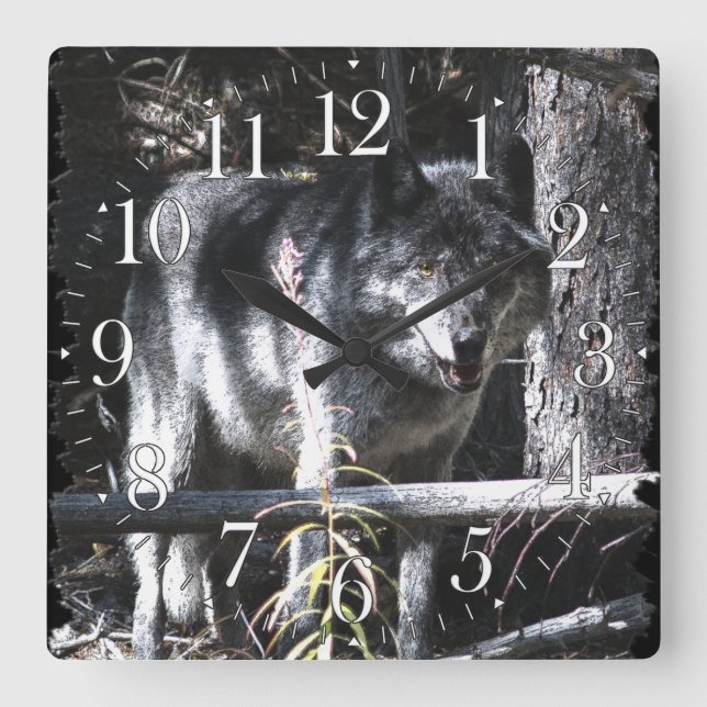 Grey Wolf & Forest Photo Clock (Front)