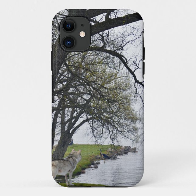 Grey Wolf & Herons by Lake Wildlife iPhone 5 Case (Back)