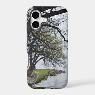 Grey Wolf & Herons by Lake Wildlife iPhone 5 Case