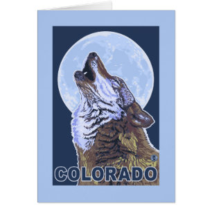 Grey Wolf HowlingColorado