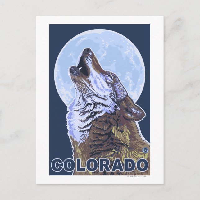 Grey Wolf HowlingColorado Postcard (Front)