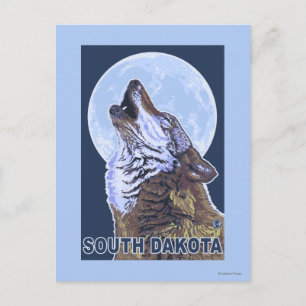 Grey Wolf HowlingSouth Dakota Postcard