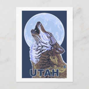 Grey Wolf HowlingUtah Postcard