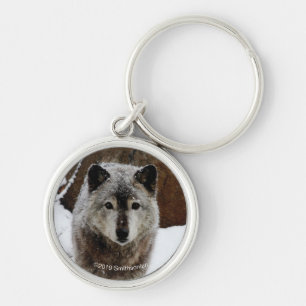 Grey Wolf in Snow Key Ring