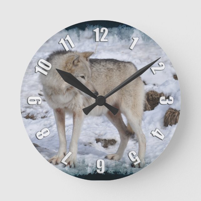 Grey Wolf in Winter Snow Wildlife Photo Round Clock (Front)