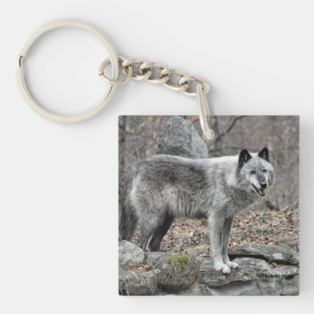 Grey Wolf Key Ring (Front)