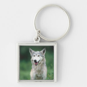 Grey Wolf Key Ring