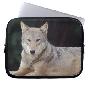 Grey Wolf Laptop Sleeve