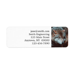 Grey Wolf looking in the forest Return Address Label