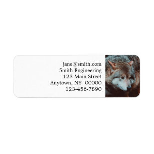 Grey Wolf looking in the forest Return Address Label